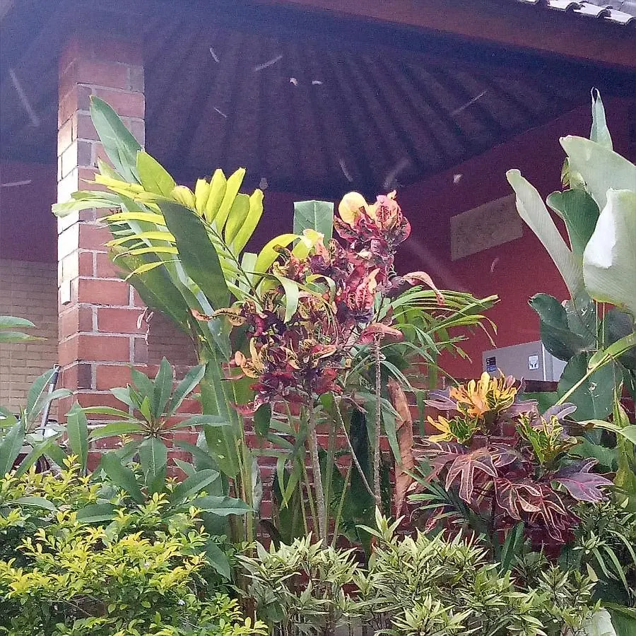 Homestay Mulia Home Stay Nusa Dua  Indonesia