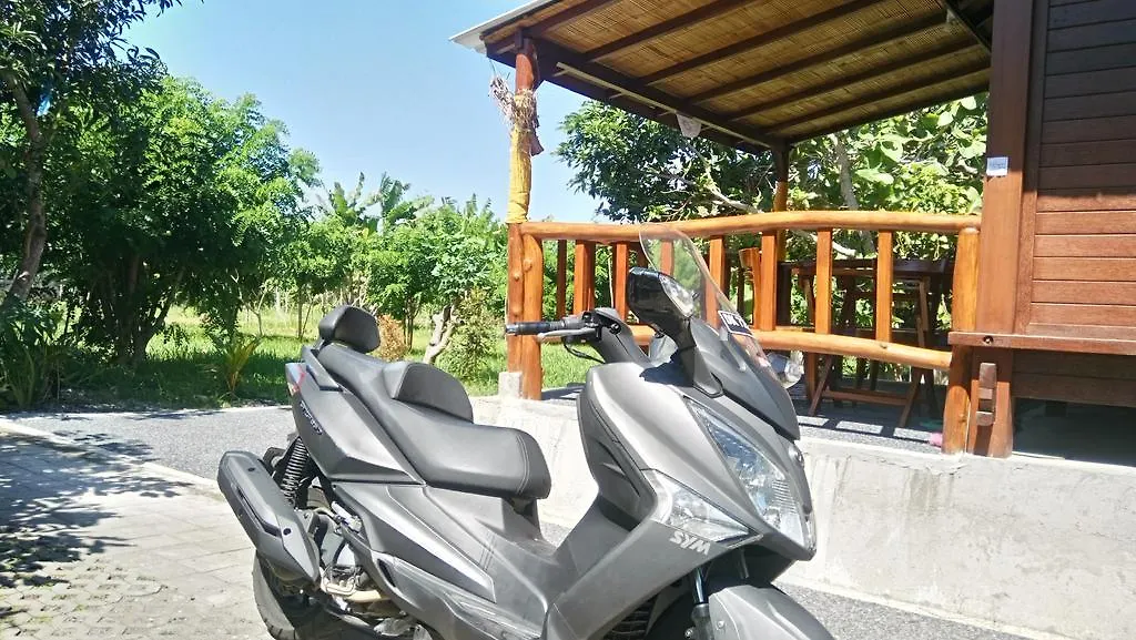 Homestay Mulia Home Stay Nusa Dua